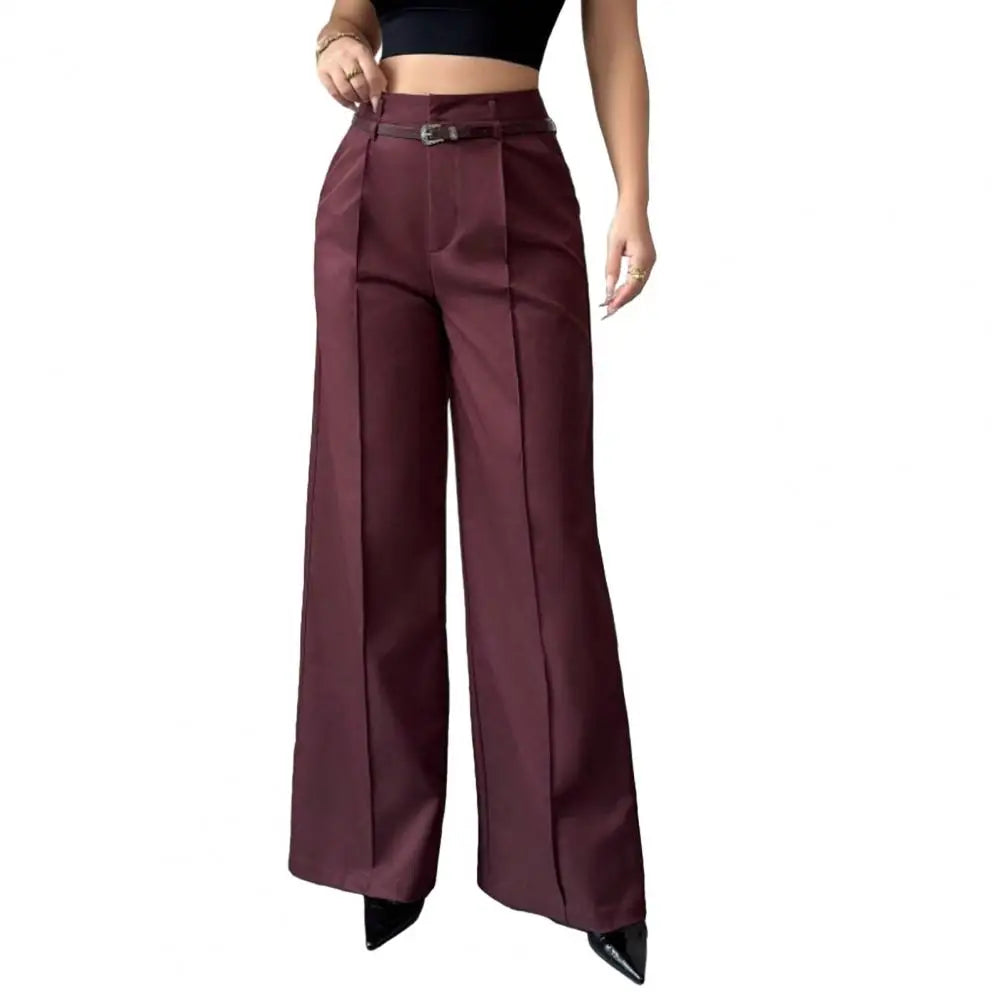 Elegant High Waist Wide Leg Fashion Straight-cut Suit Pants